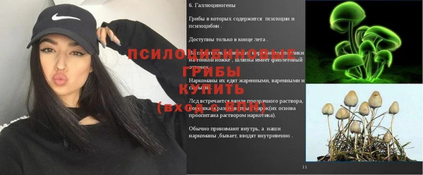 а пвп мука Аркадак