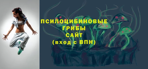 бошки Арсеньев