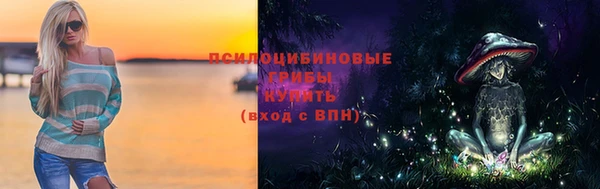 бошки Арсеньев