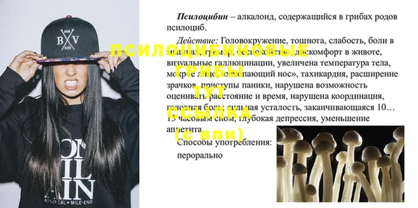 бошки Арсеньев