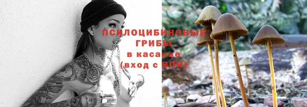 а пвп мука Аркадак