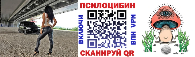 kraken маркетплейс  darknet какой сайт  Галлюциногенные грибы Magic Shrooms  Буй 